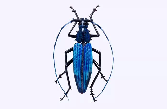 November Things to Do: Visual Art&nbsp;